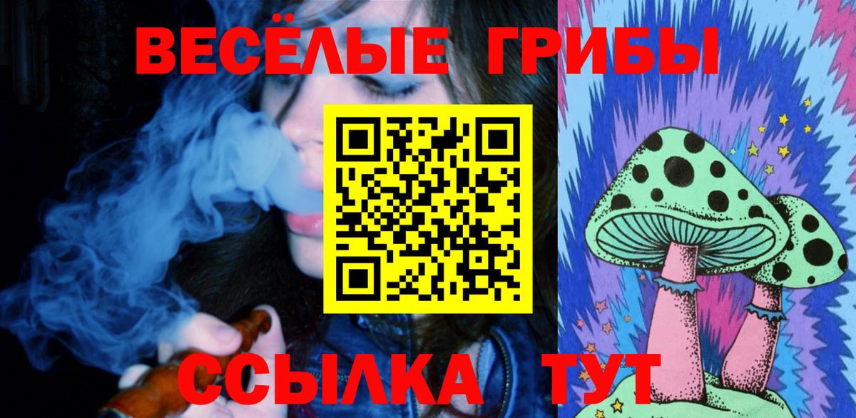 Галлюциногенные грибы GOLDEN TEACHER Назрань